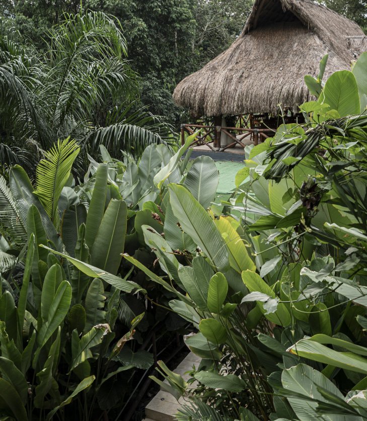 regresa a ti 7 La Gracia